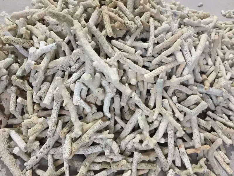 德国原装进口hw-ox odinex 海水鱼卵旋虫药小白点1000ml