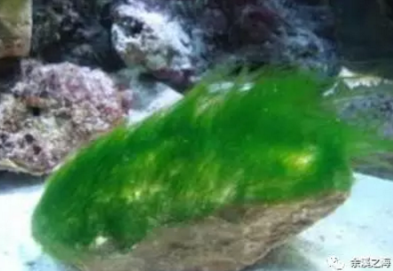 06.png