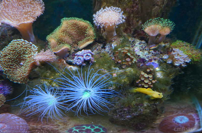 DSC01351 ����.jpg