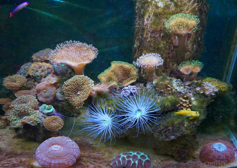 DSC01348 ����.jpg