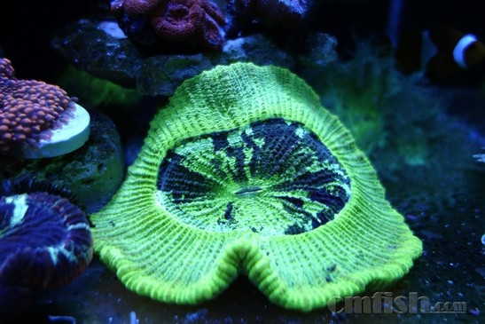 ������С _DSC4234.JPG