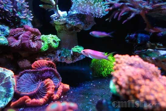 ������С _DSC4462.jpg