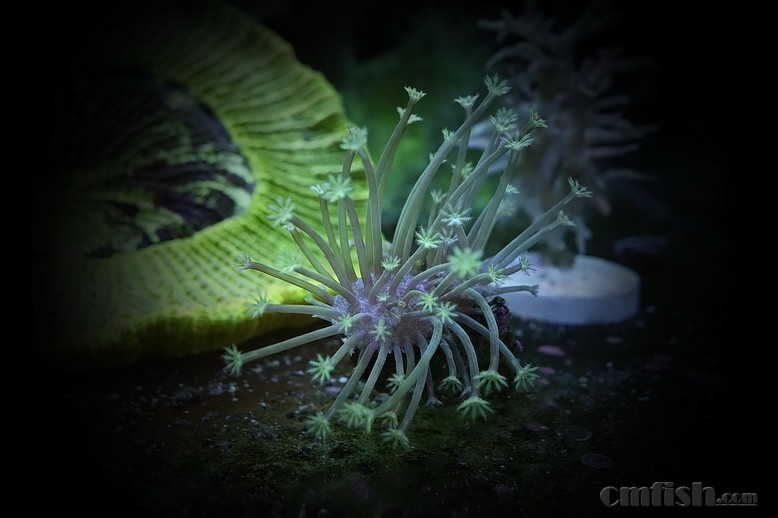 ������С _DSC4446.JPG