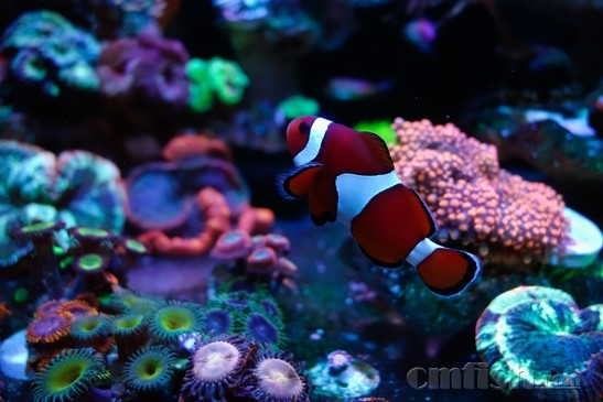 ������С _DSC4436111.jpg