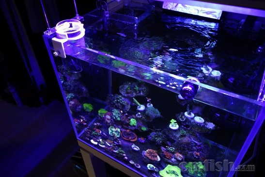 ������С 7.JPG