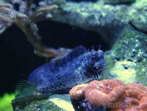 ������С ������С _DSC4260.JPG