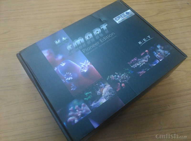 ����ٵݰ�װ  ����