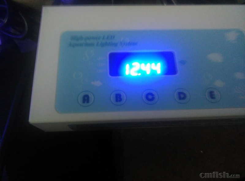 ���߿���������