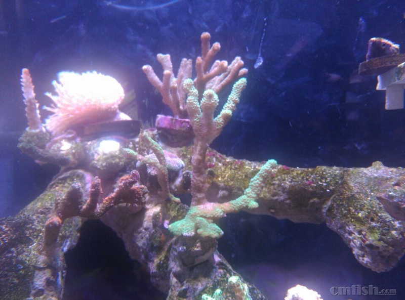 ��֧���̵��߾�����֮ǰ�ĵ����������������ˣ����ڻ���K6 Smart-PE �󣬹��վͿ����䵽���洦�ˡ�