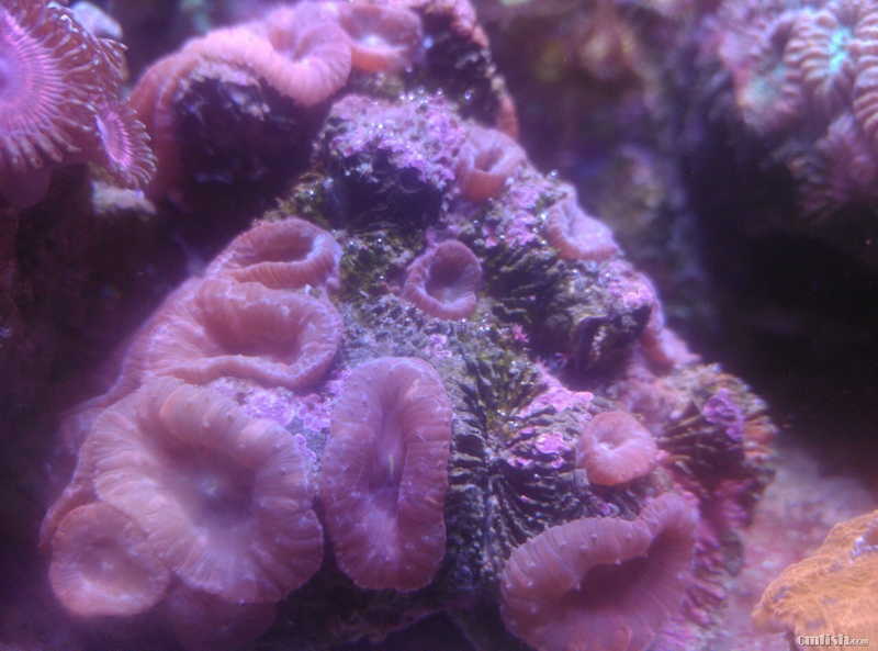 ʹ��K6 Smart-PE ���� 2017.09.22