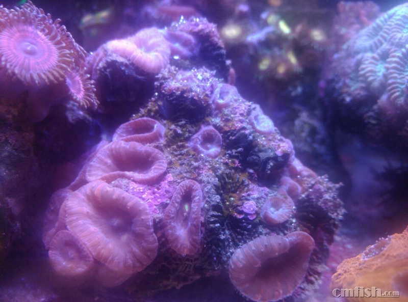 ʹ��K6 Smart-PE 9���Ч��