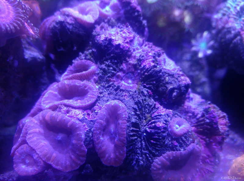 ��ʹ��K6 Smart-PE ǰ��������2017.09.16��