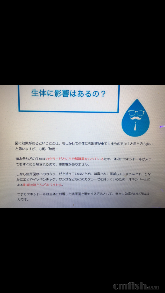 IMG_2154.PNG