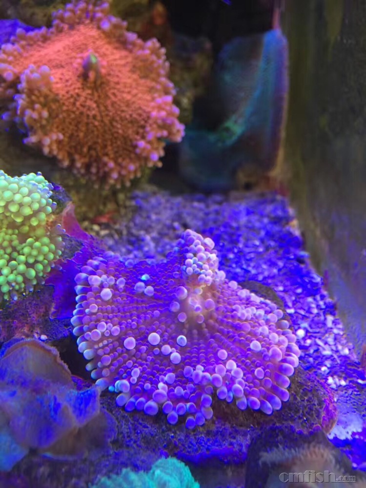 D448B3B3-3DC8-4842-AF65-25F980E67F4A.jpeg
