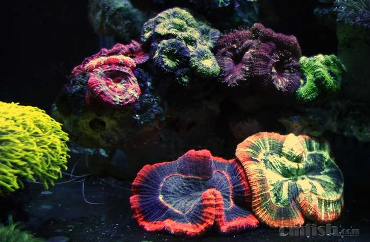 ������С _DSC4963.JPG