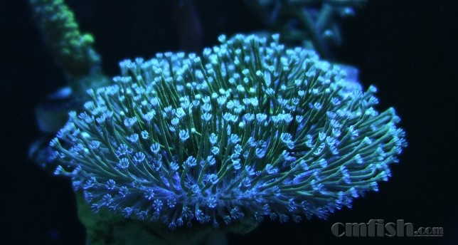 ������С _DSC4964.JPG