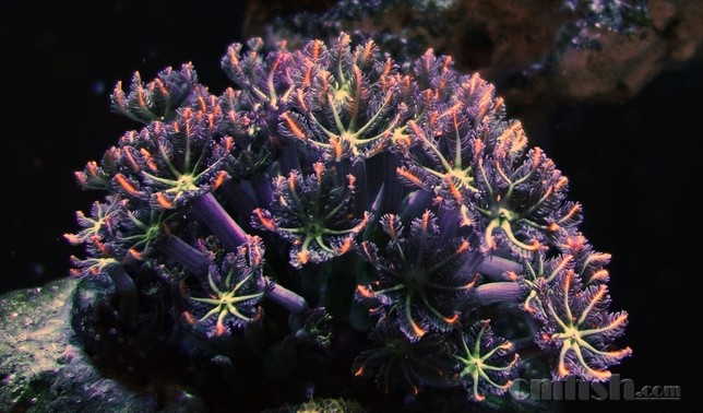 ������С _DSC4965.JPG