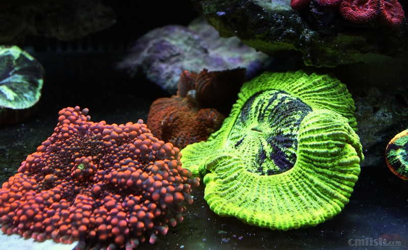 ������С _DSC4985.JPG