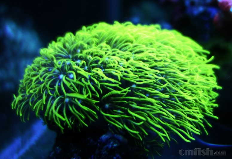 ������С _DSC4967.JPG