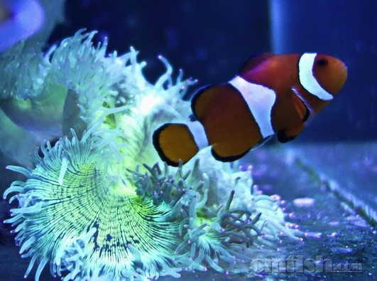 ������С ������С _DSC5017.JPG