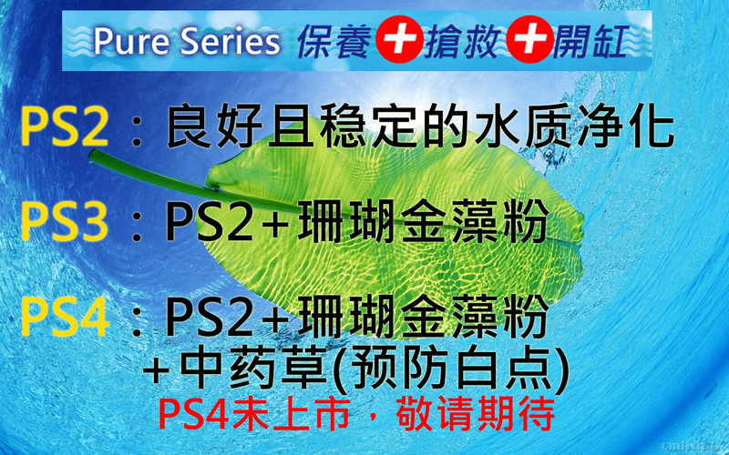PS2m33m3-02.jpg