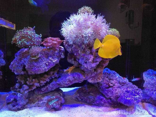 请教一下新买的八字脑的问题