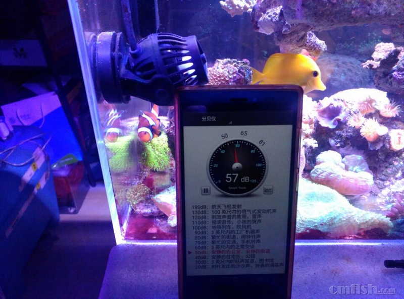 ���� ��վ����OW