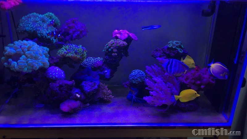 ���µ��ˡ����ֵ����