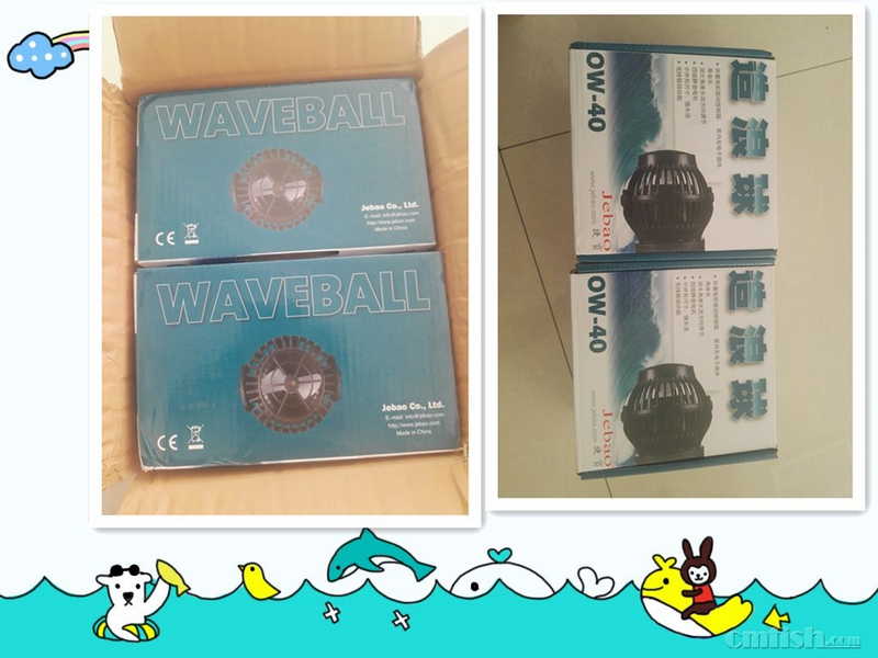 ��װ�ܽ�����û�г����κε��𻵡�