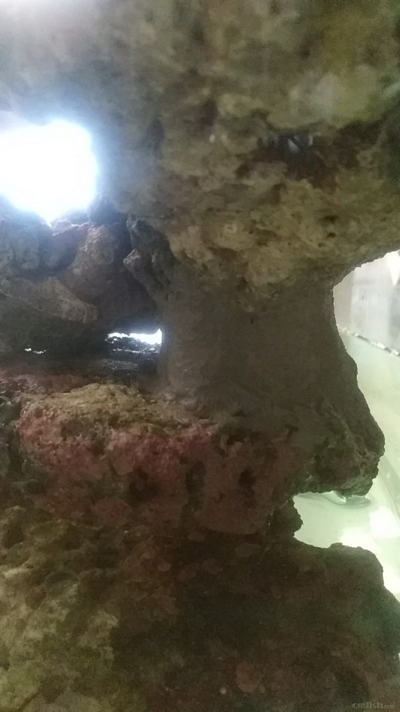 wx_camera_1509188084011.jpg