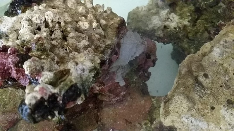 wx_camera_1509188110877.jpg