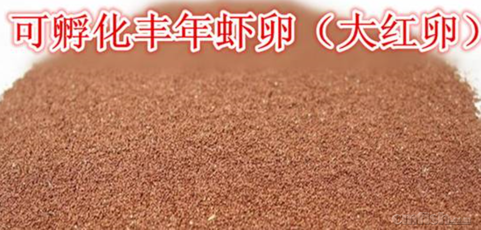 image003.png