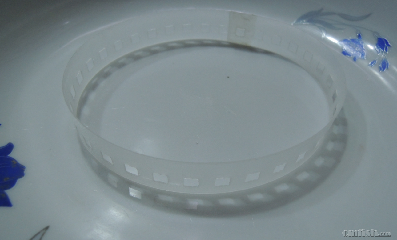 image007.png
