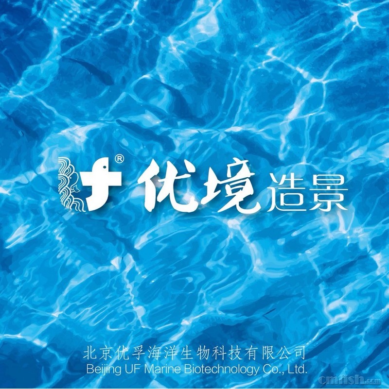214211u13h2w12dw1290b2.jpg
