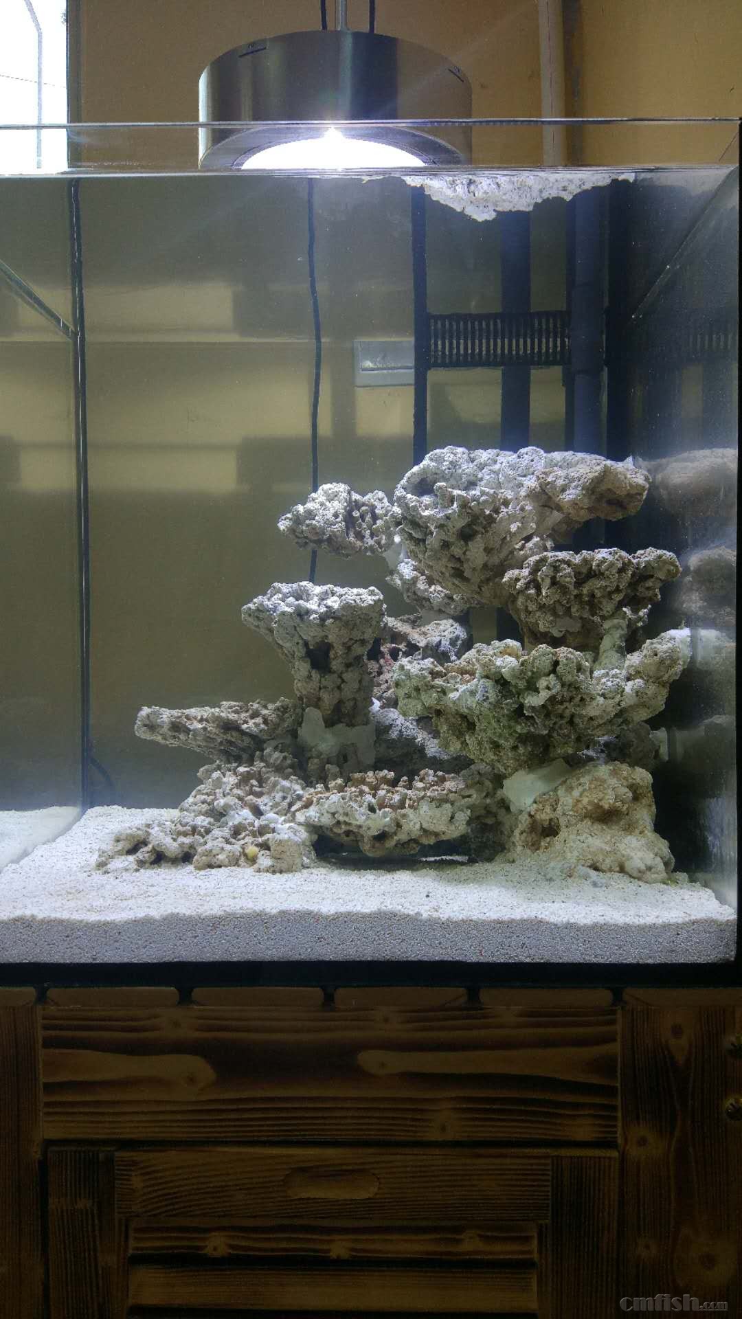 60方缸 填缝剂造景 - 造景及摄影区 - cmf海友论坛 - powered by