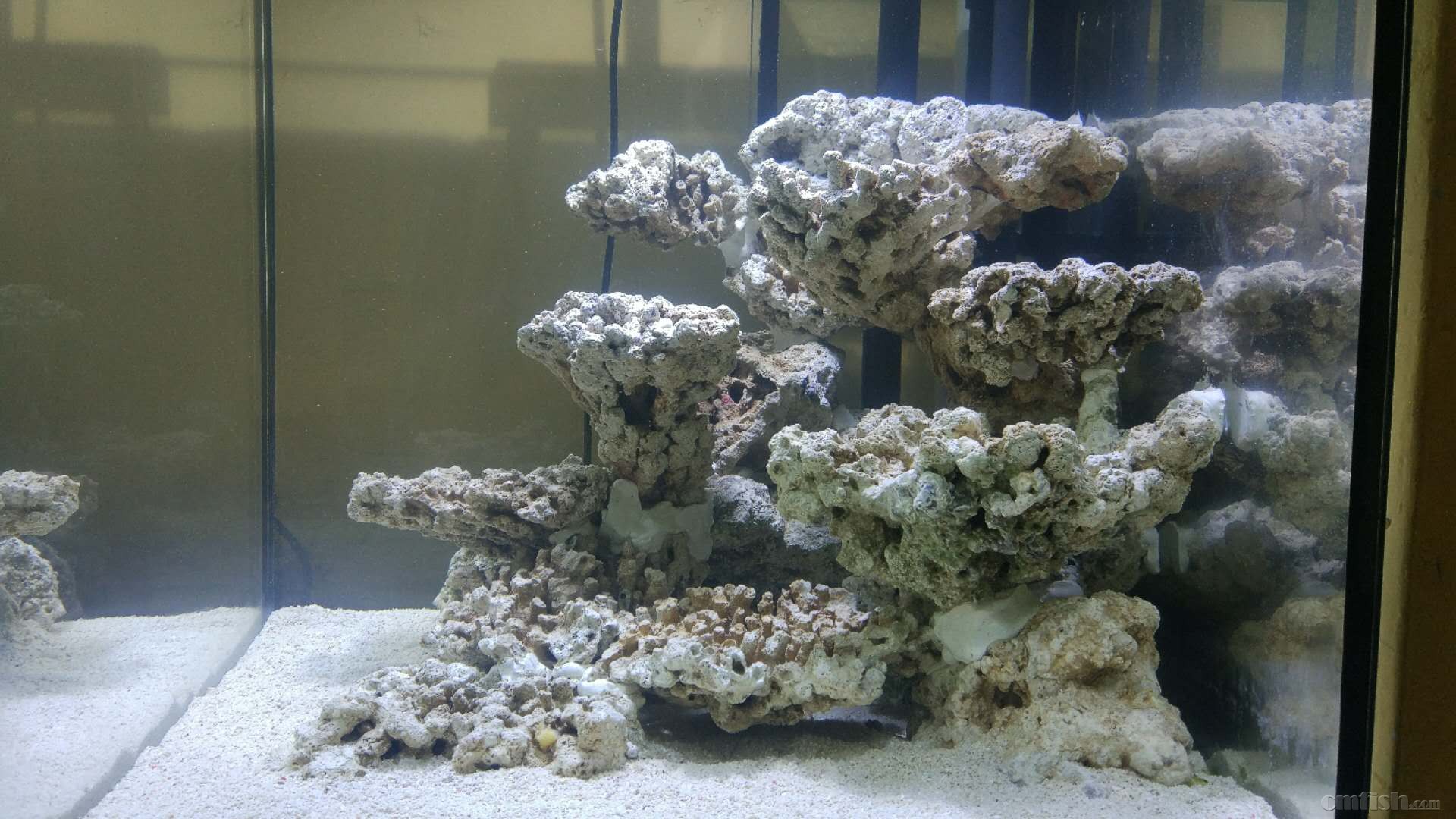 60方缸 填缝剂造景 - 造景及摄影区 - cmf海友论坛 - powered by