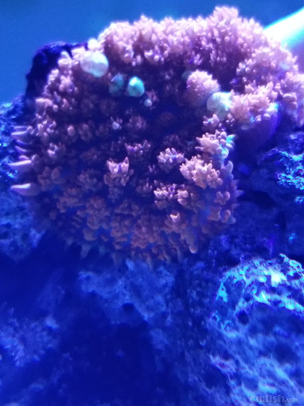 20171125_200738.jpg