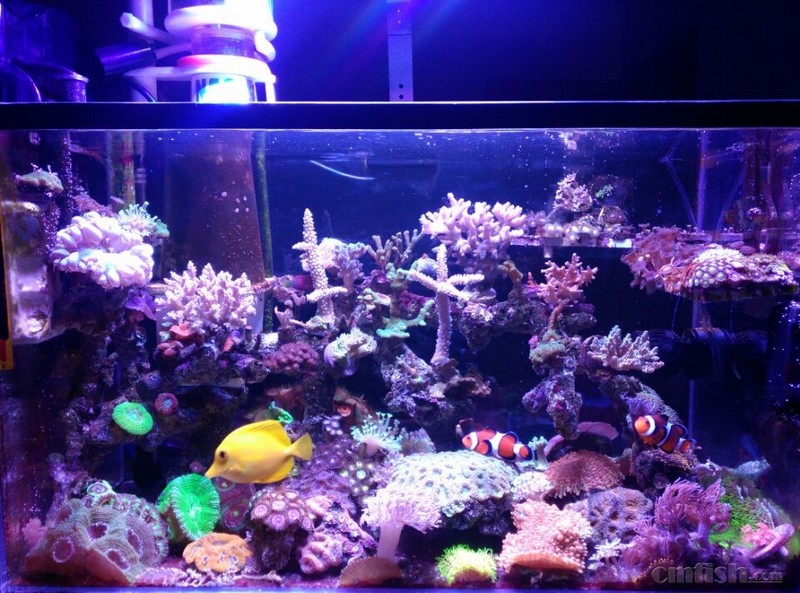 �������һЩ