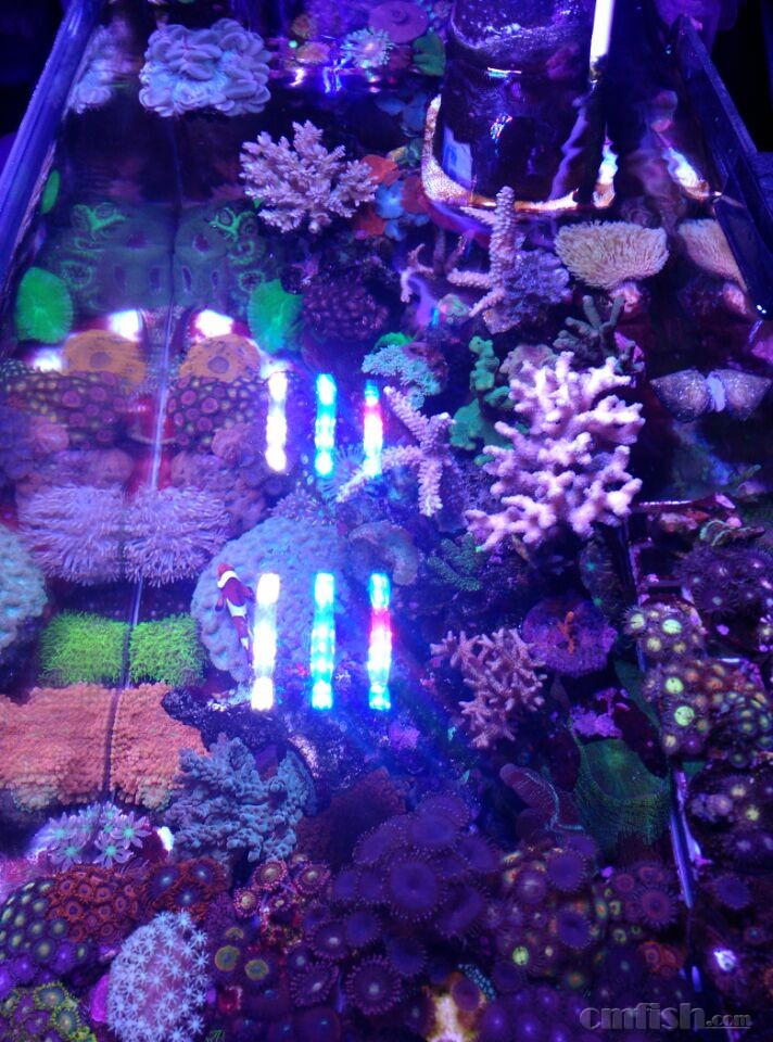 �����ǿ��������˱õ�