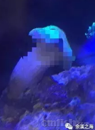 15.png