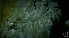 07.gif
