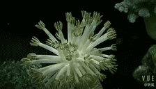 13.gif