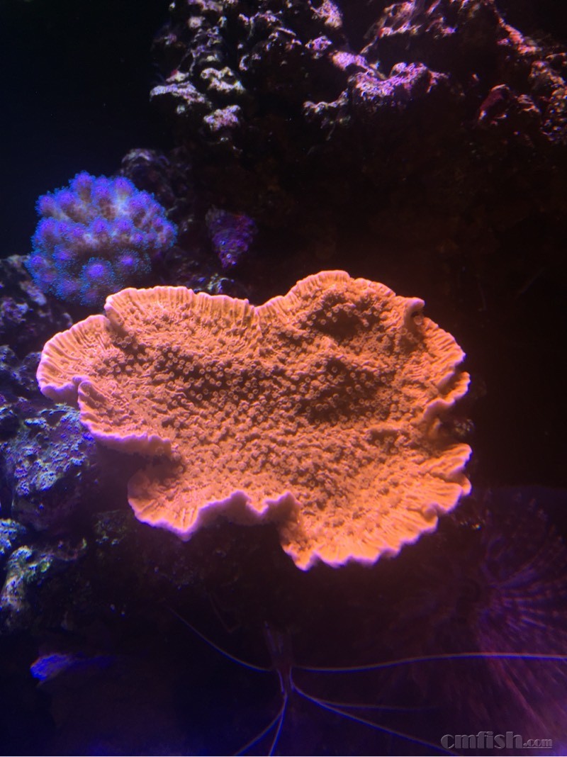 212711j6x5v6xxydwvm391.jpg