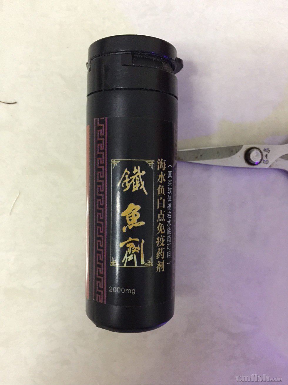 猜猜看白点铁鱼剂放大半年后是个什么样?