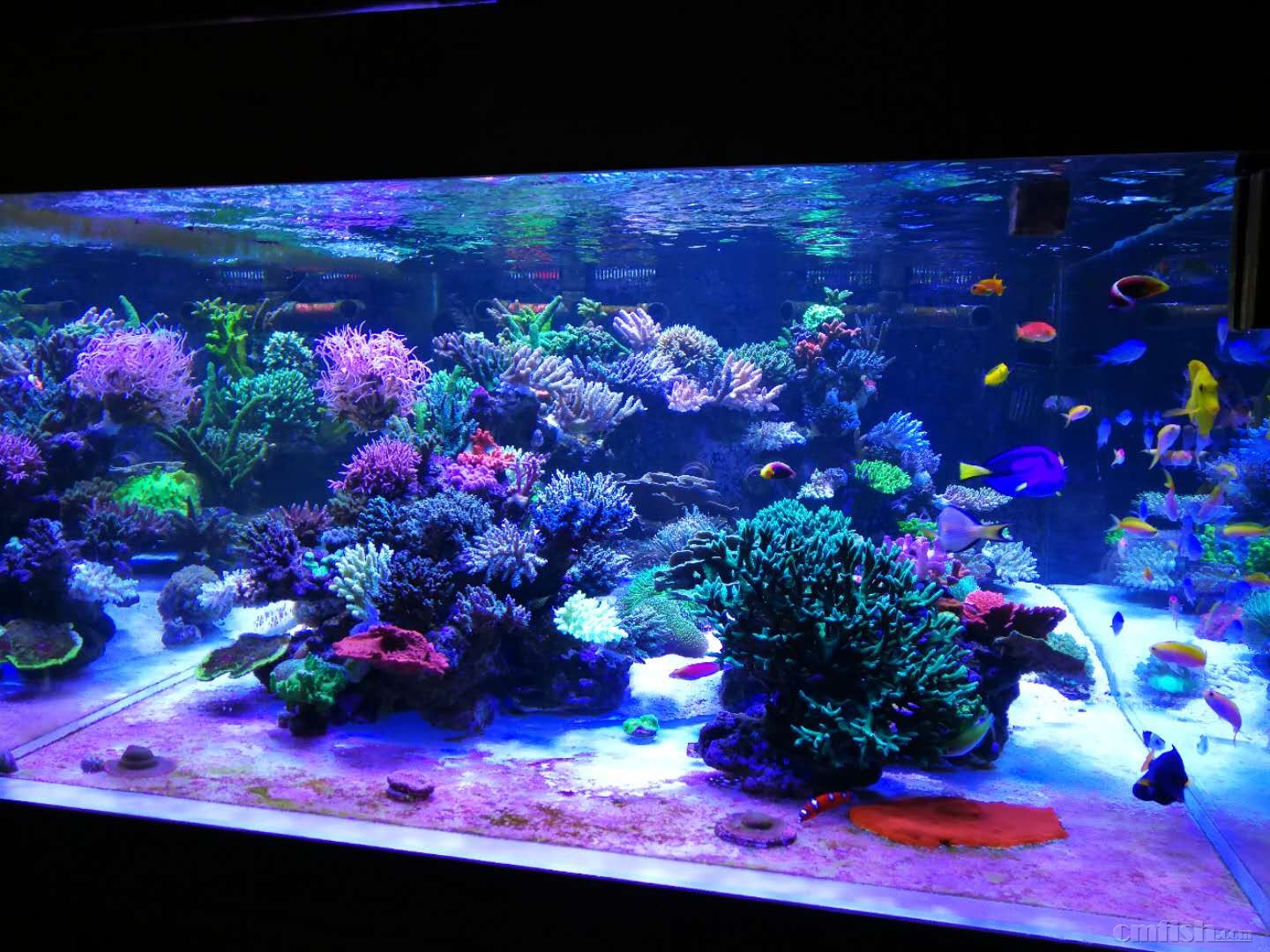 webwxgetmsgimg (2).jpg