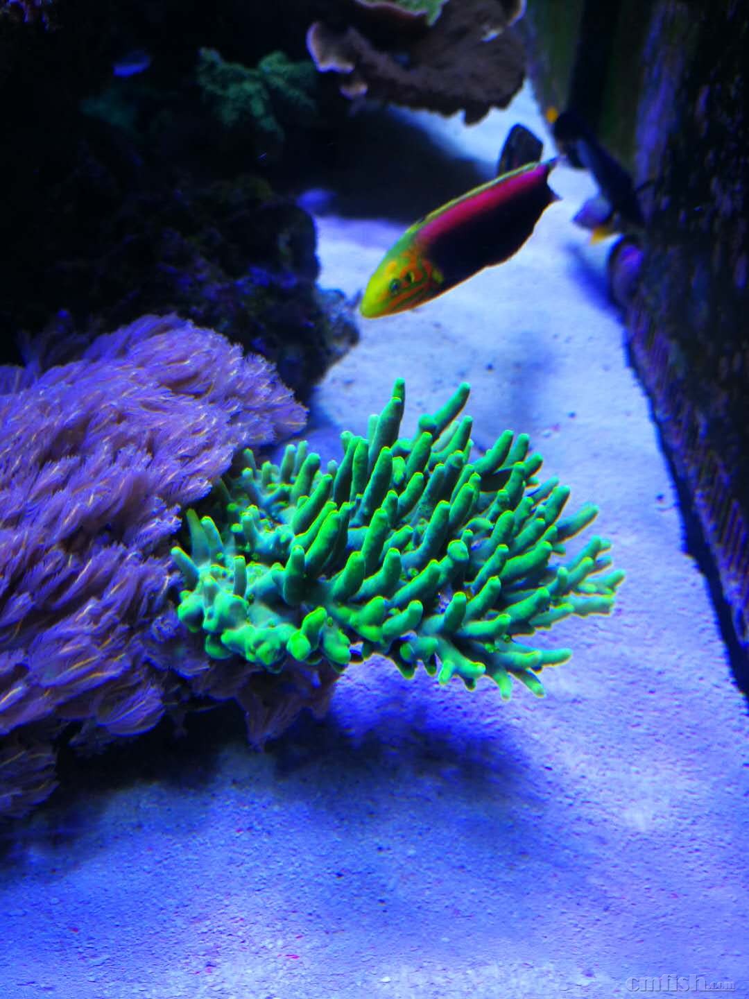 webwxgetmsgimg (3).jpg