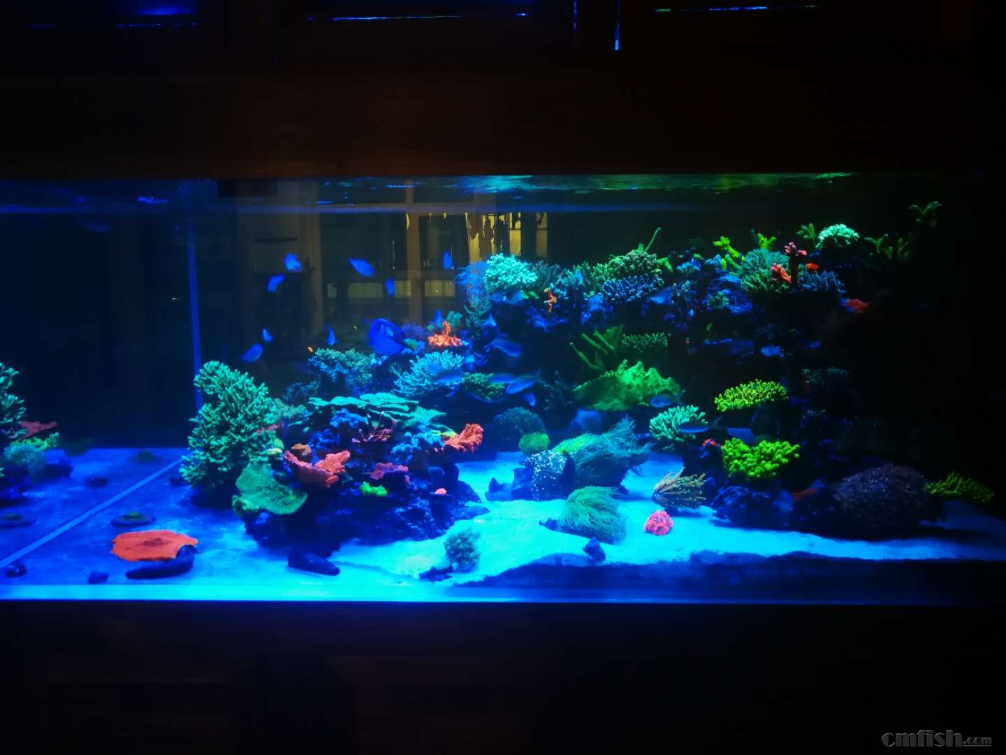 webwxgetmsgimg (7).jpg