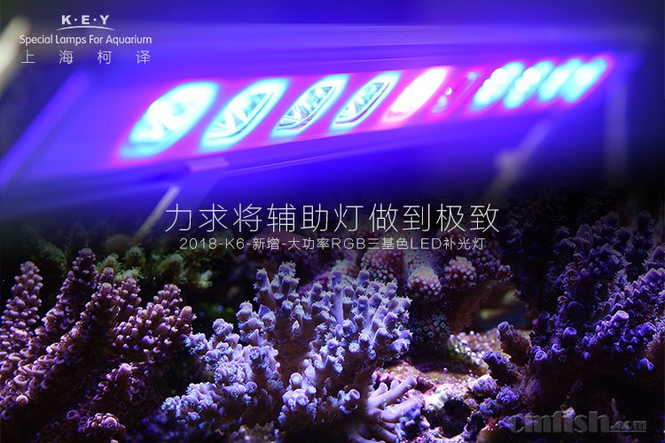 01-LED�����-����-RGB����ɫ�����.jpg