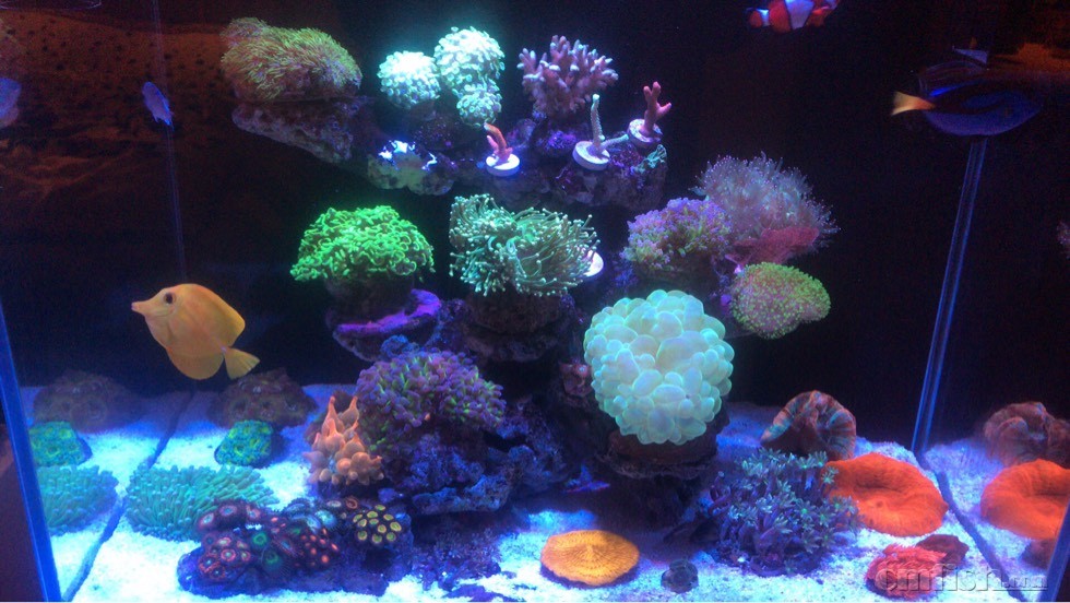 201048kygpy8ppyyviqq70.jpg