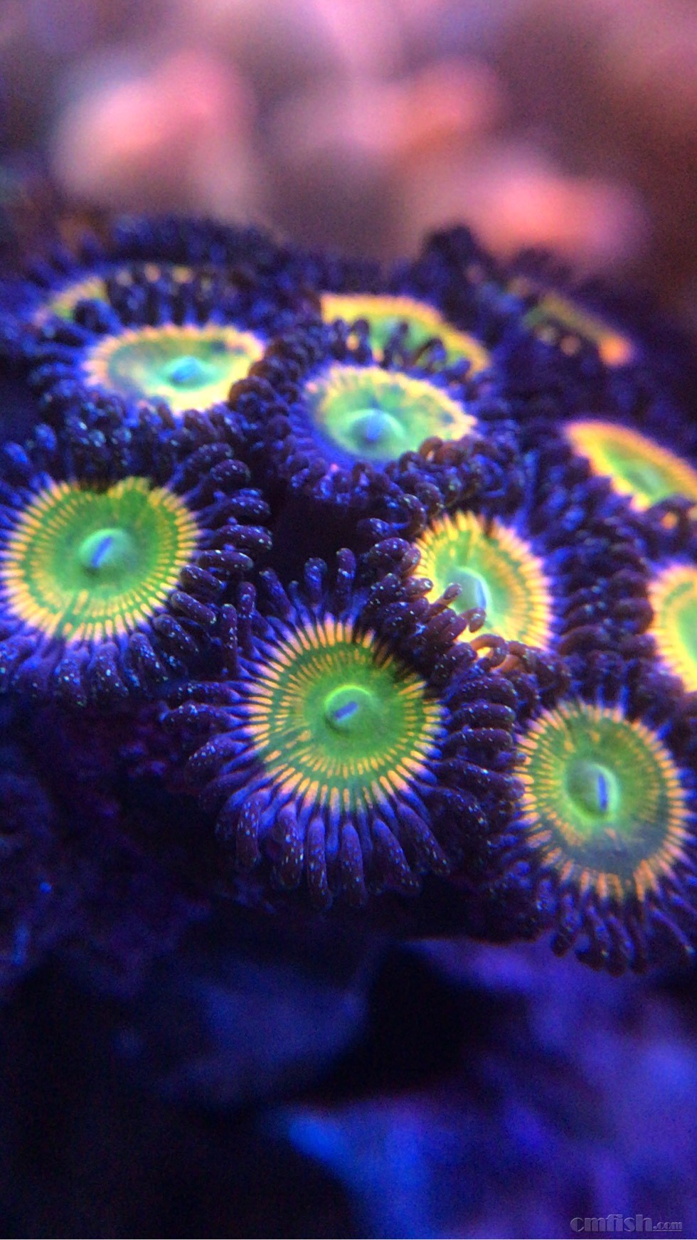 201053dbta6oqe0btv0efx.jpg